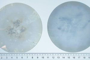 Comparison of Crystal IS 100 mm bulk aluminum nitride substrate from CY24 Q1 (left) with 90% usable area and CY24 Q2 (right) with 99.3% usable area