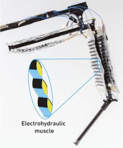 EHTZ MaxPlank electrohydraulic leg