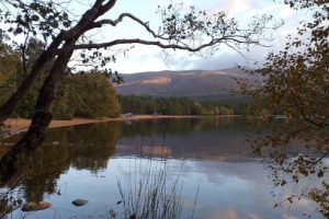 North - Loch Morlich