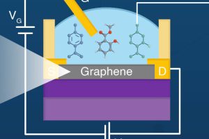 Tokyo tech graphene nose gfet